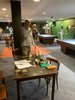 Afbeelding van WhatsApp op 2025-04-17 om 22